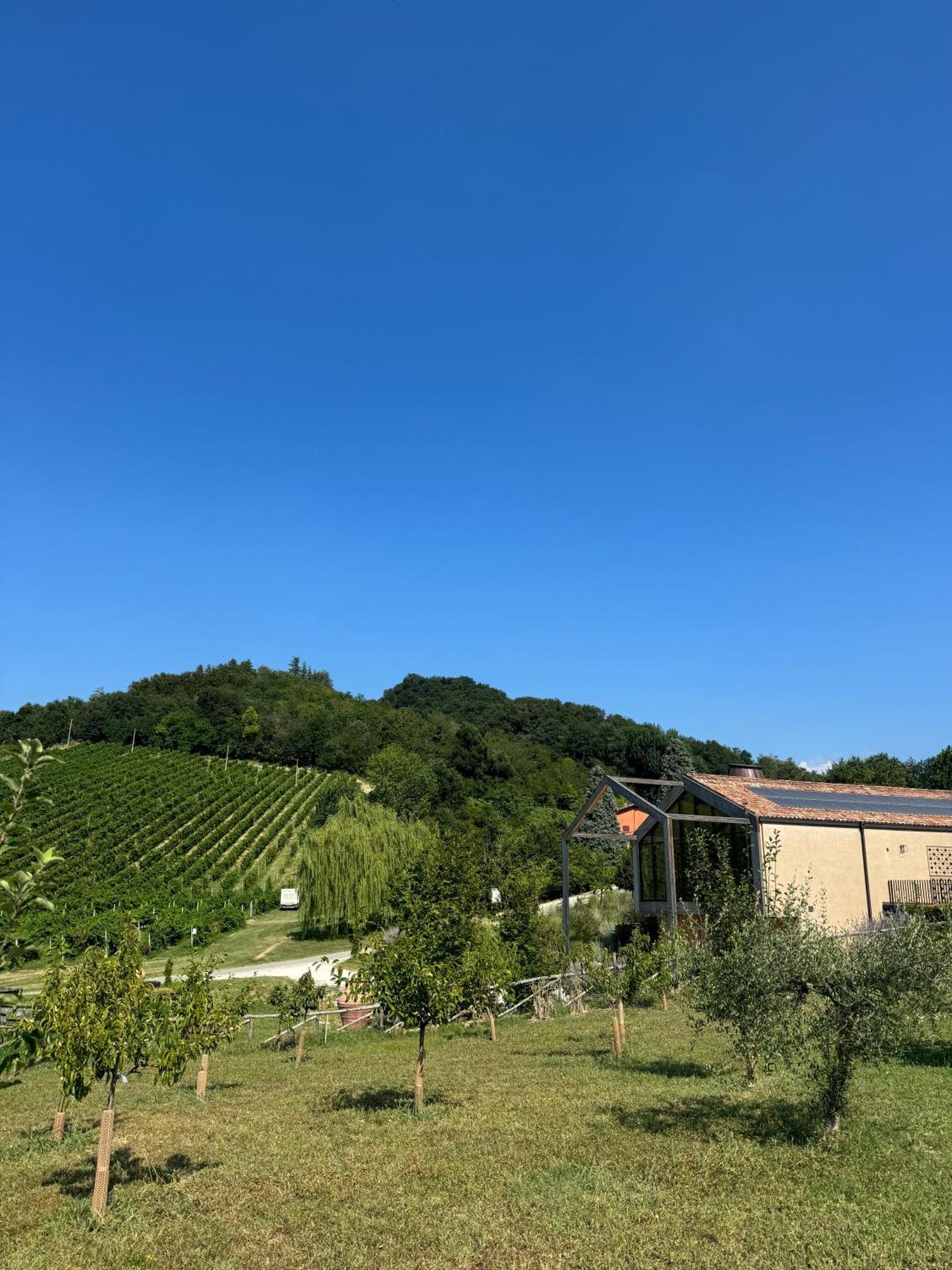 寇德艾博酒店 蒙特韦廖 外观 照片